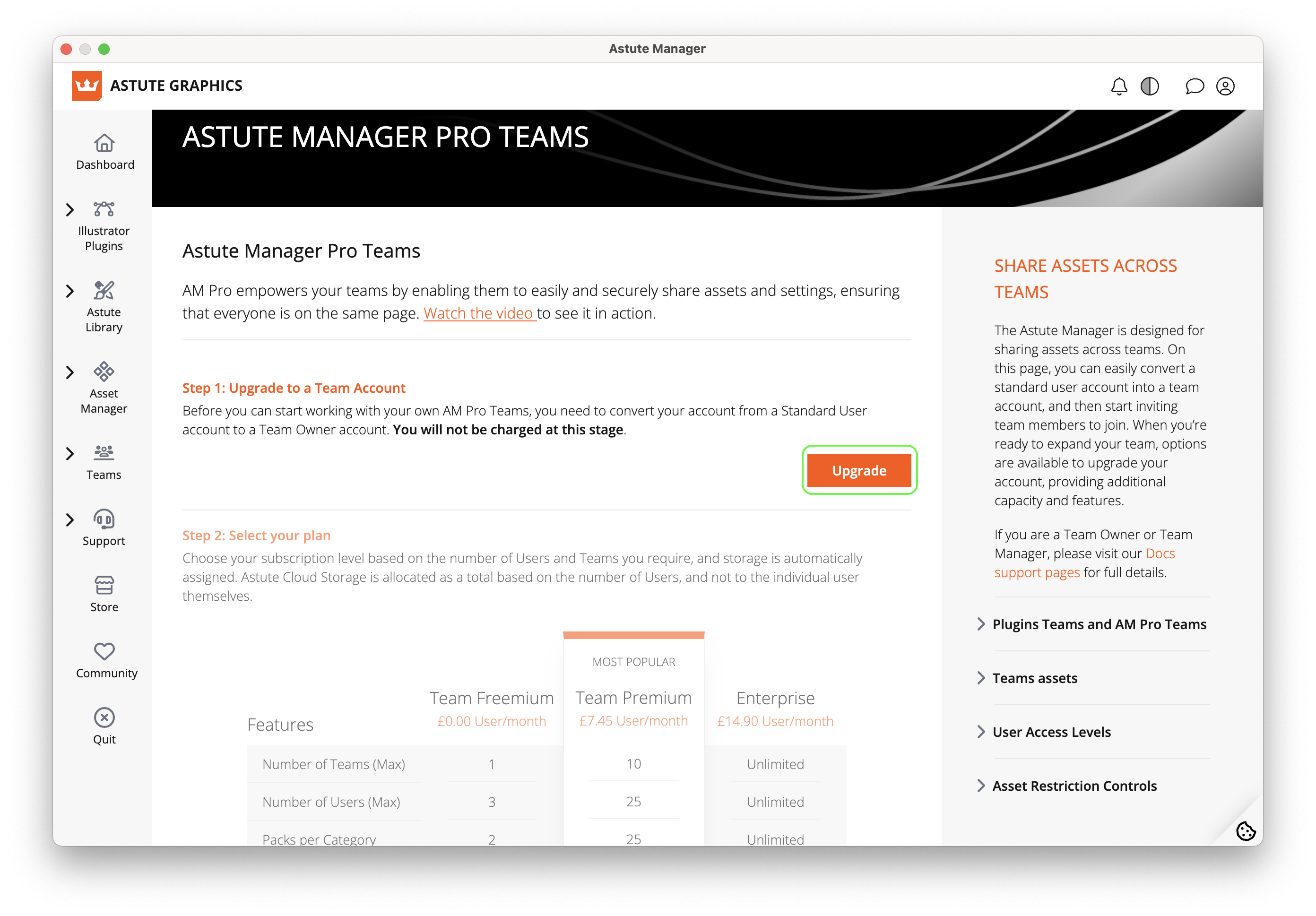 AM Pro Teams - Upgrade to Team Owner