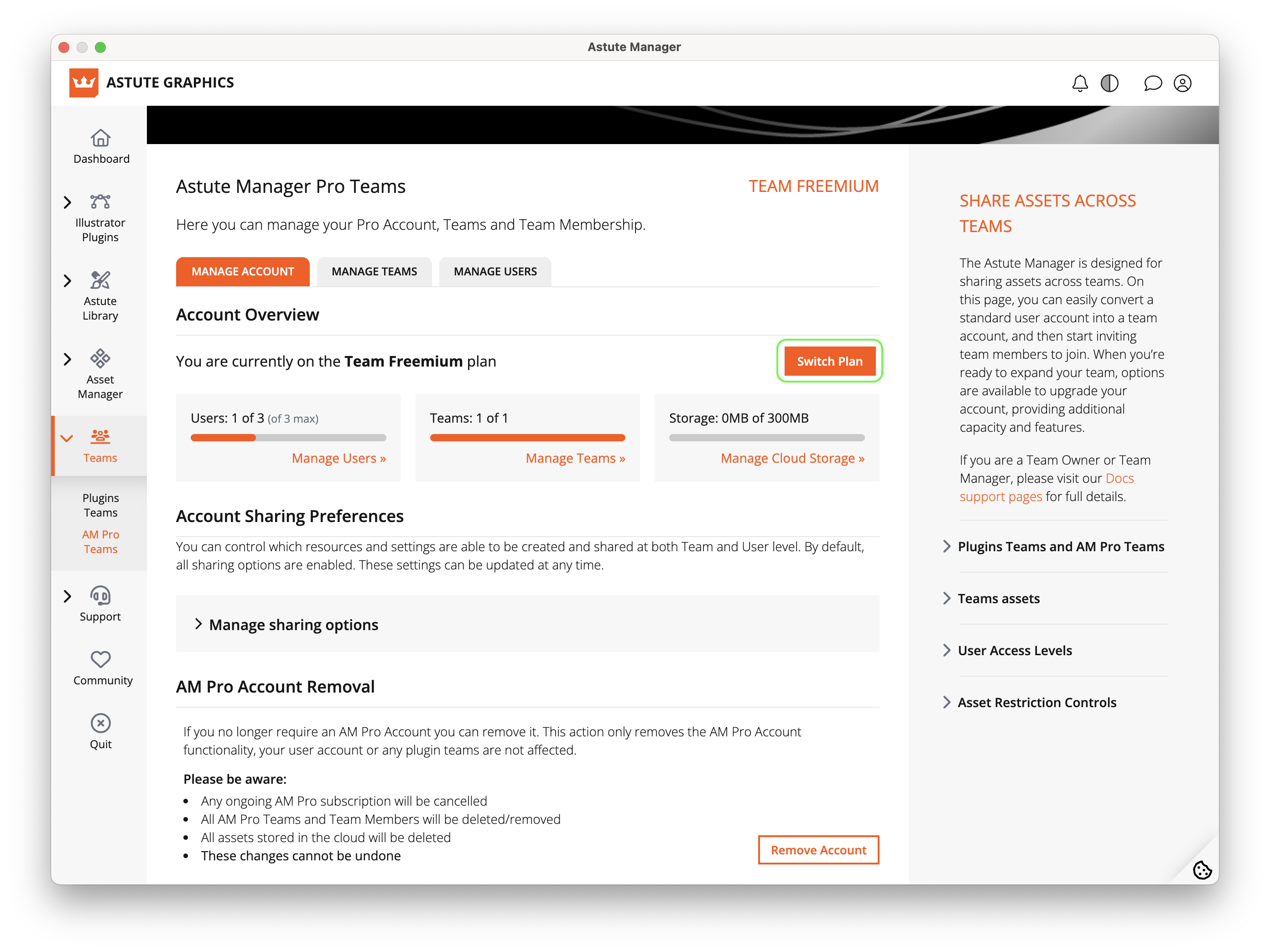 AM Pro Teams - Freemium Plan details