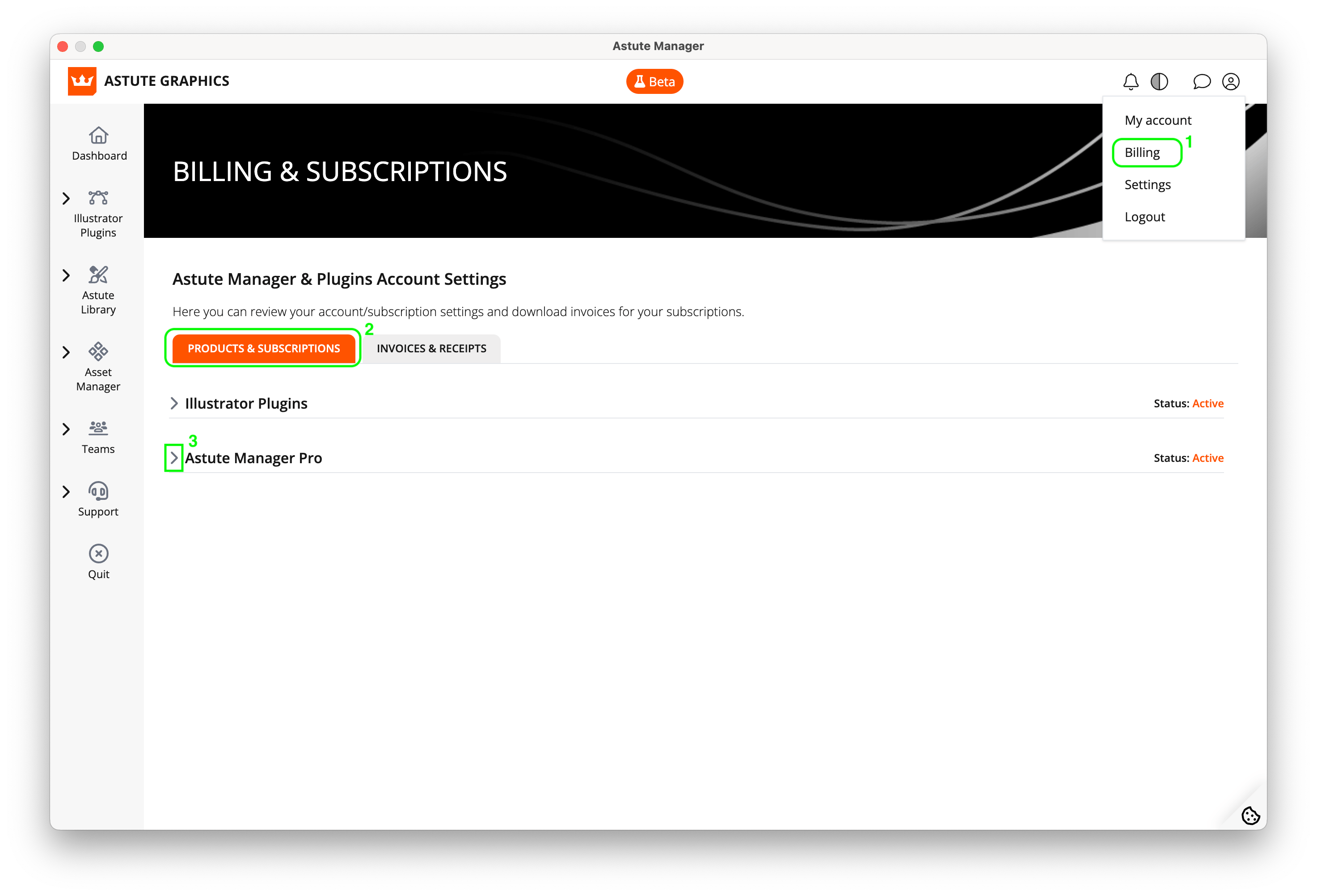 Cancelling an Astute Manager Pro Team subscription | Astute Graphics ...