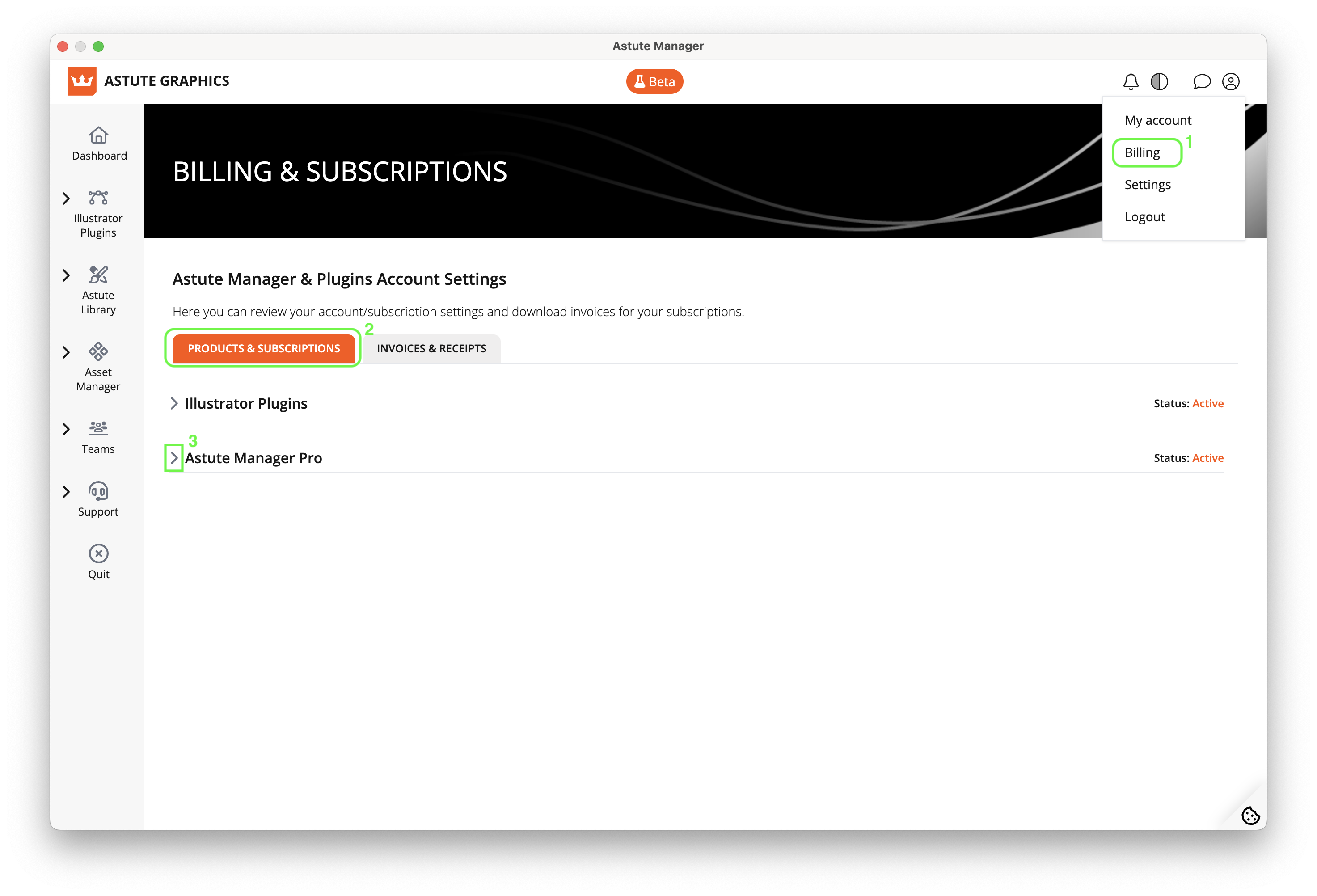 AM Pro Teams - View subscription