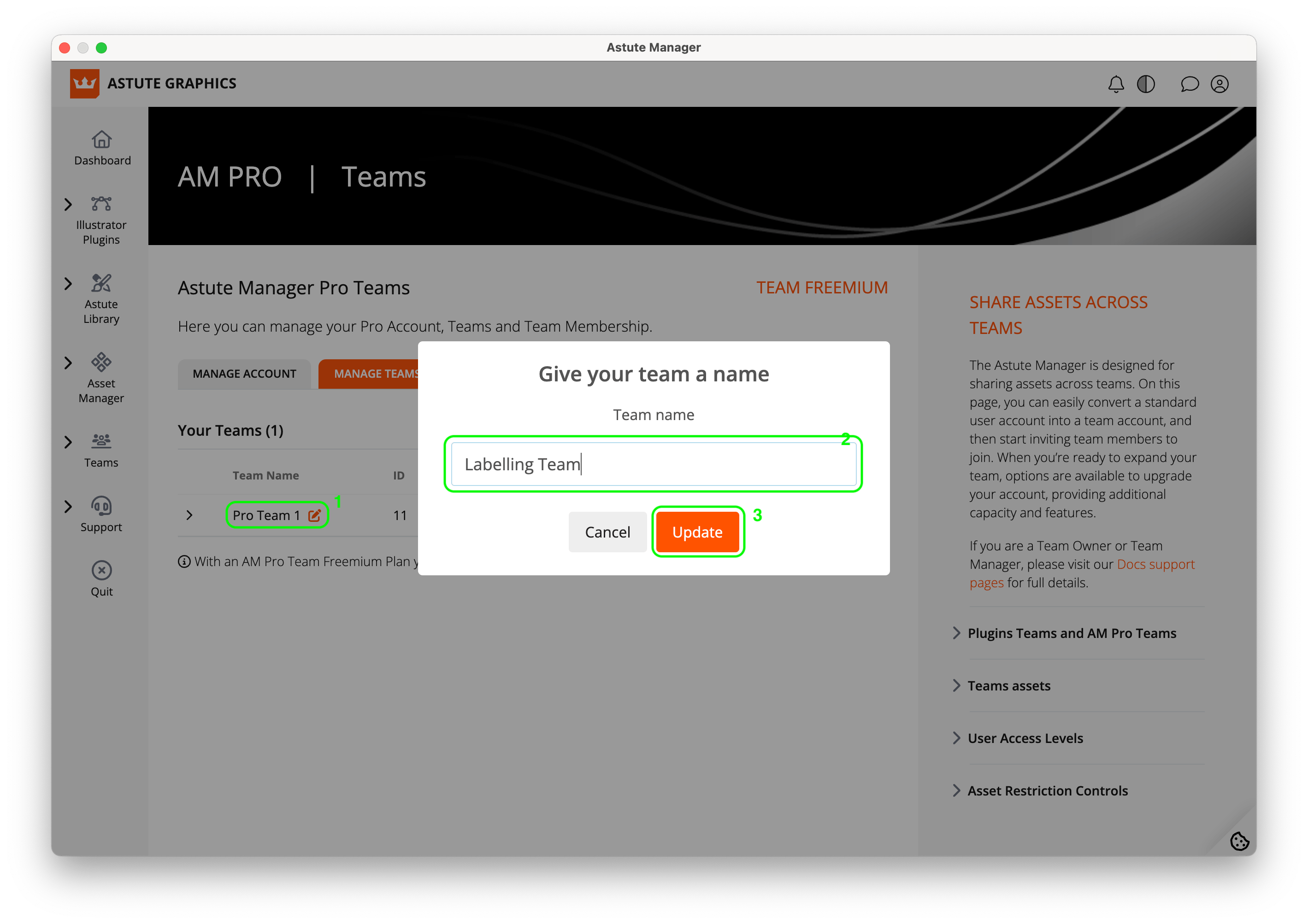 Naming Am Pro Teams and adding users to Teams | Astute Graphics ...