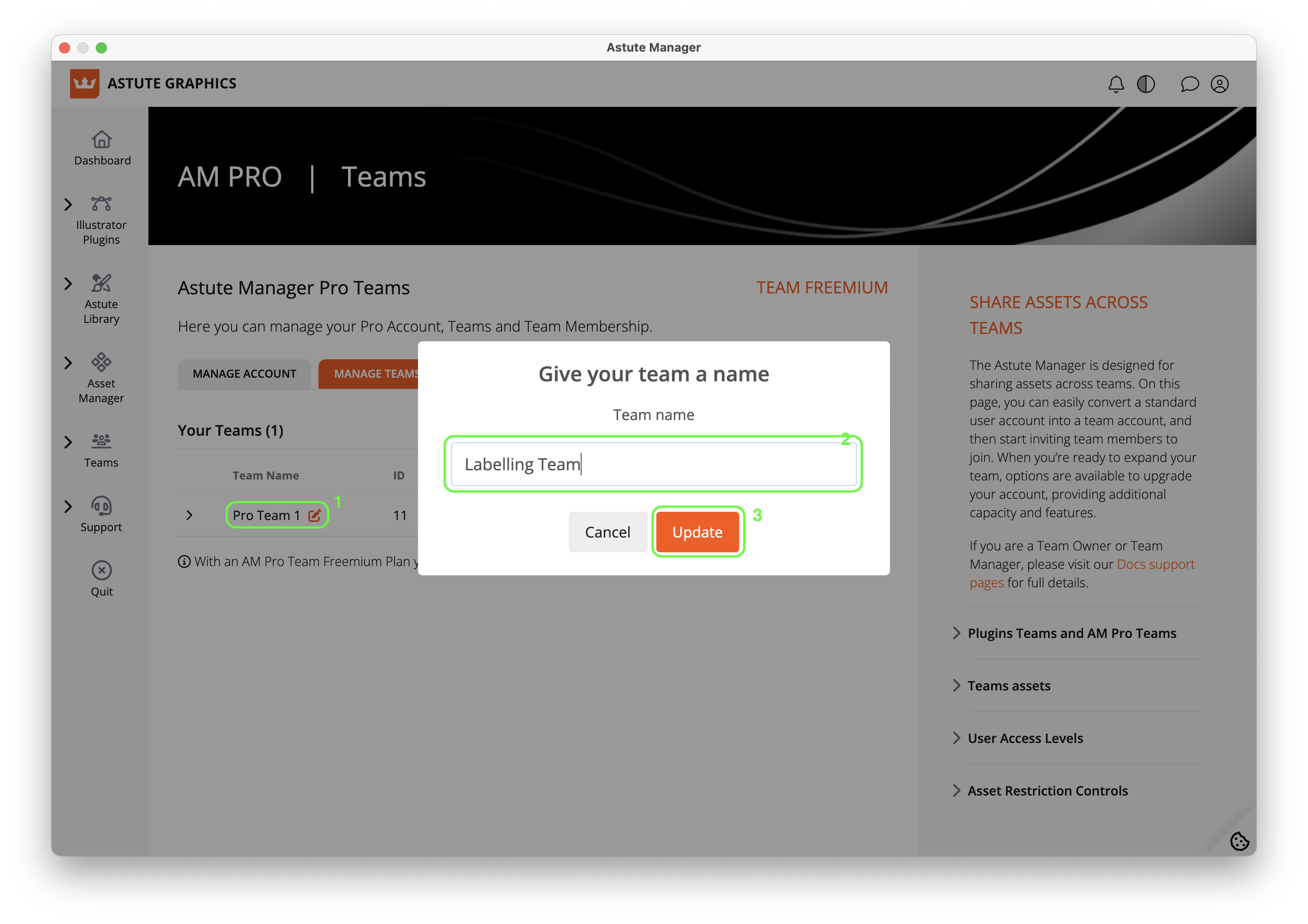 AM Pro Teams -  Naming a Team