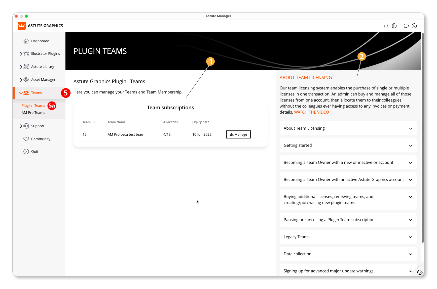 Astute Manager - Plugin Teams