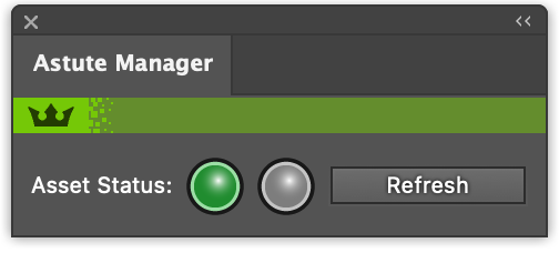 Astute Manager Panel with Green Indicator