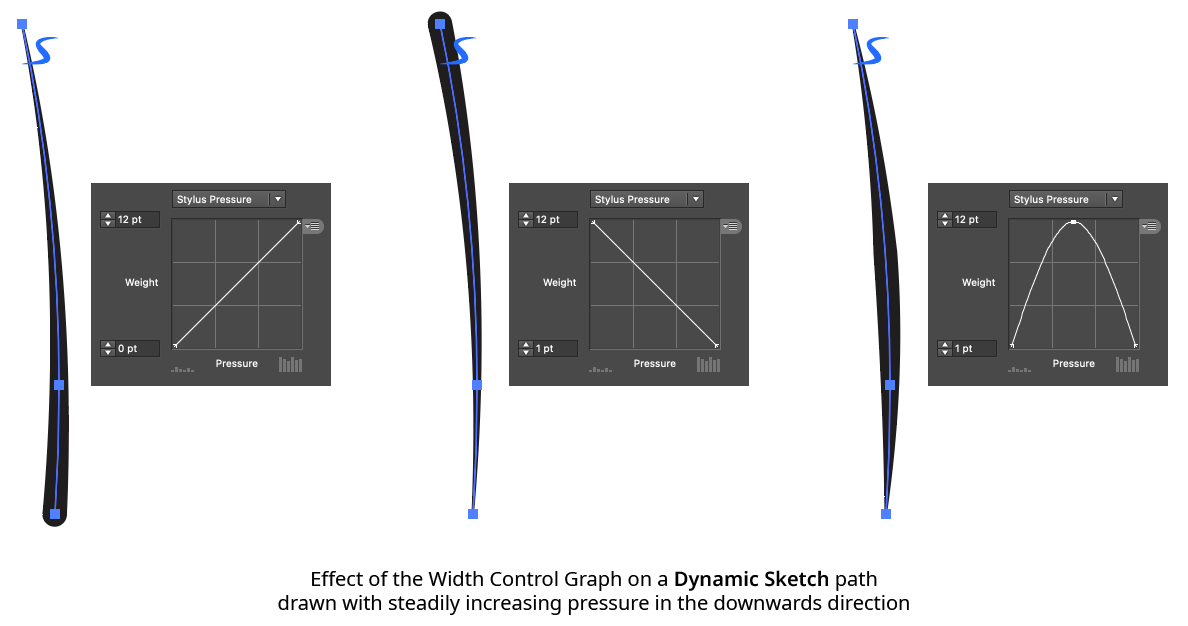 Dynamic Sketch Graph Example
