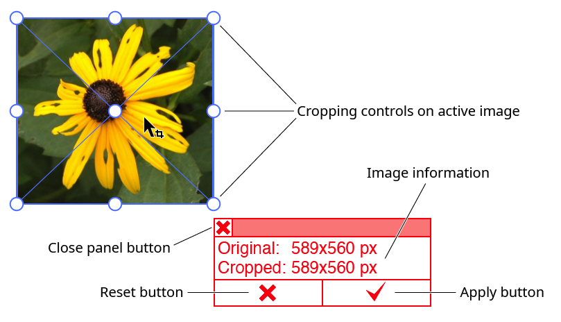 Rasterino Crop Image Controls