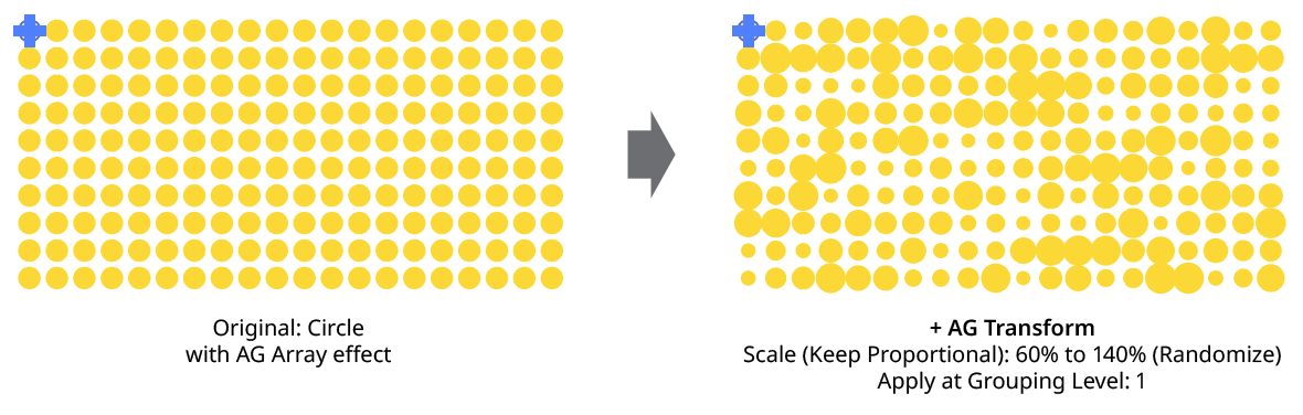 AG Transform Random Scale