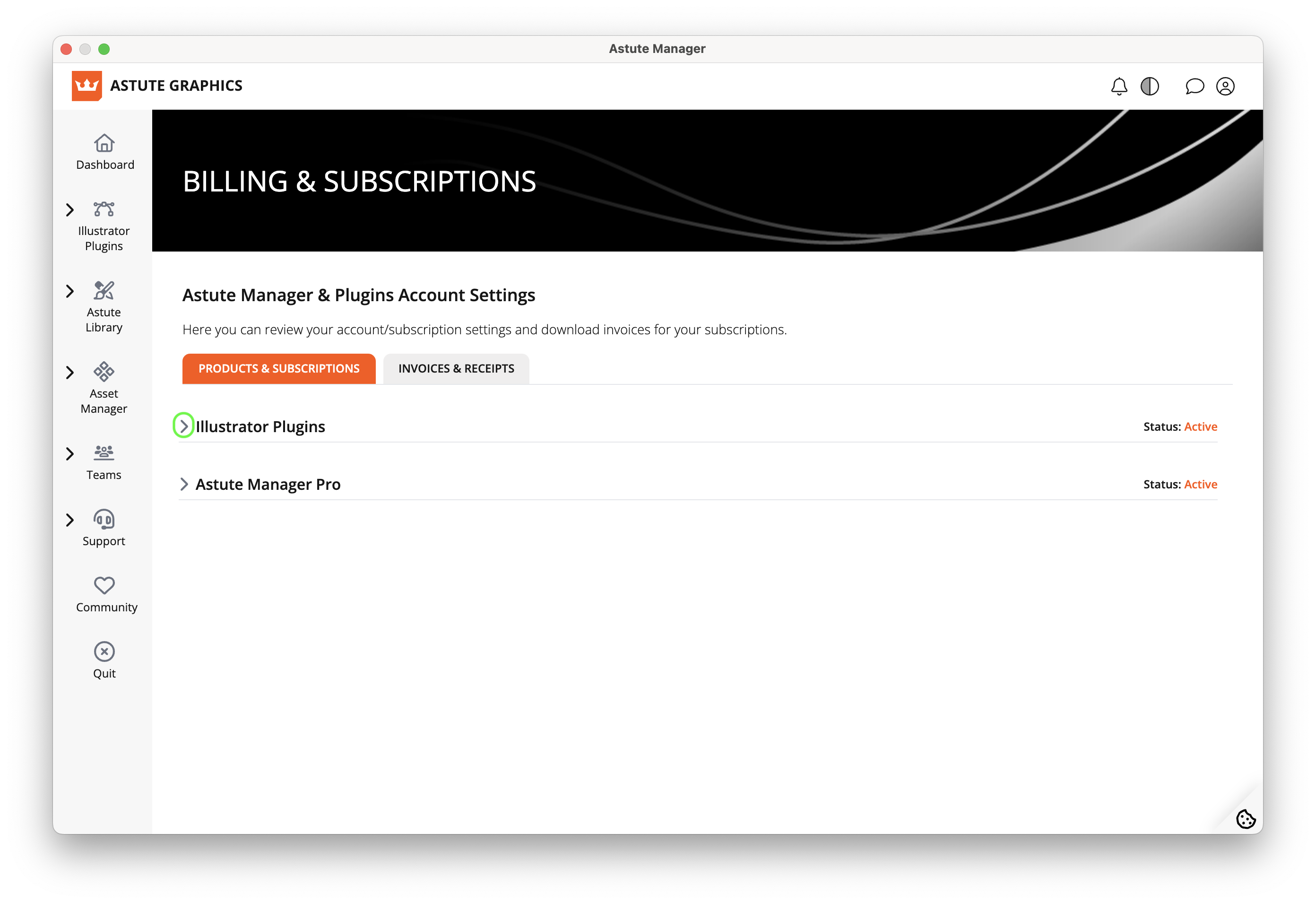 Subscription - View subscription